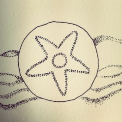 2014-08-04 18.03.42-2