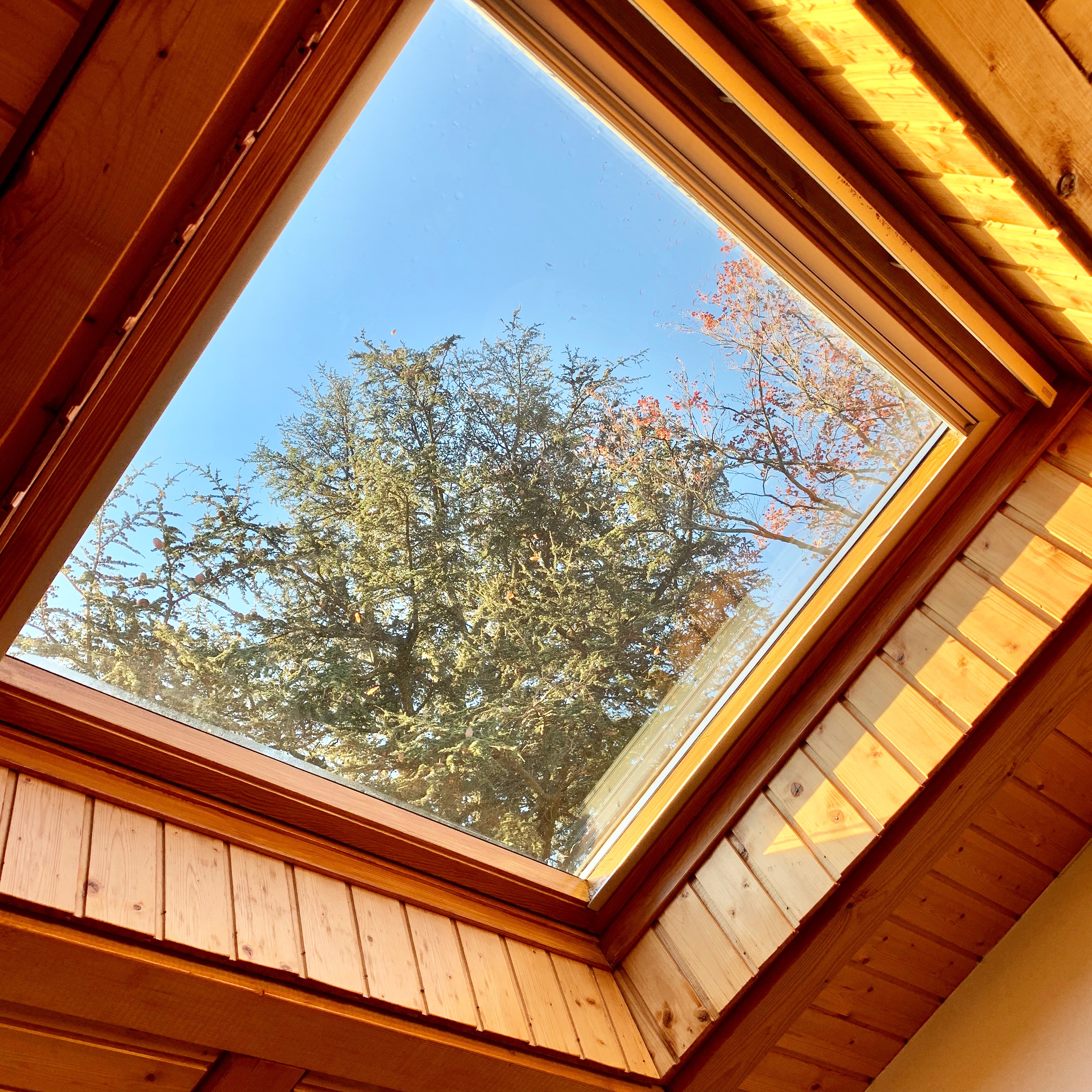 C4E549E7-26CB-4FD1-917F-A4B83C17525D