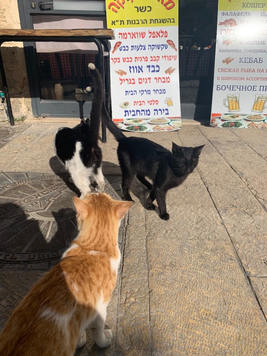 2AFDF1AE-DE10-4F86-A390-E2A8545CBC55