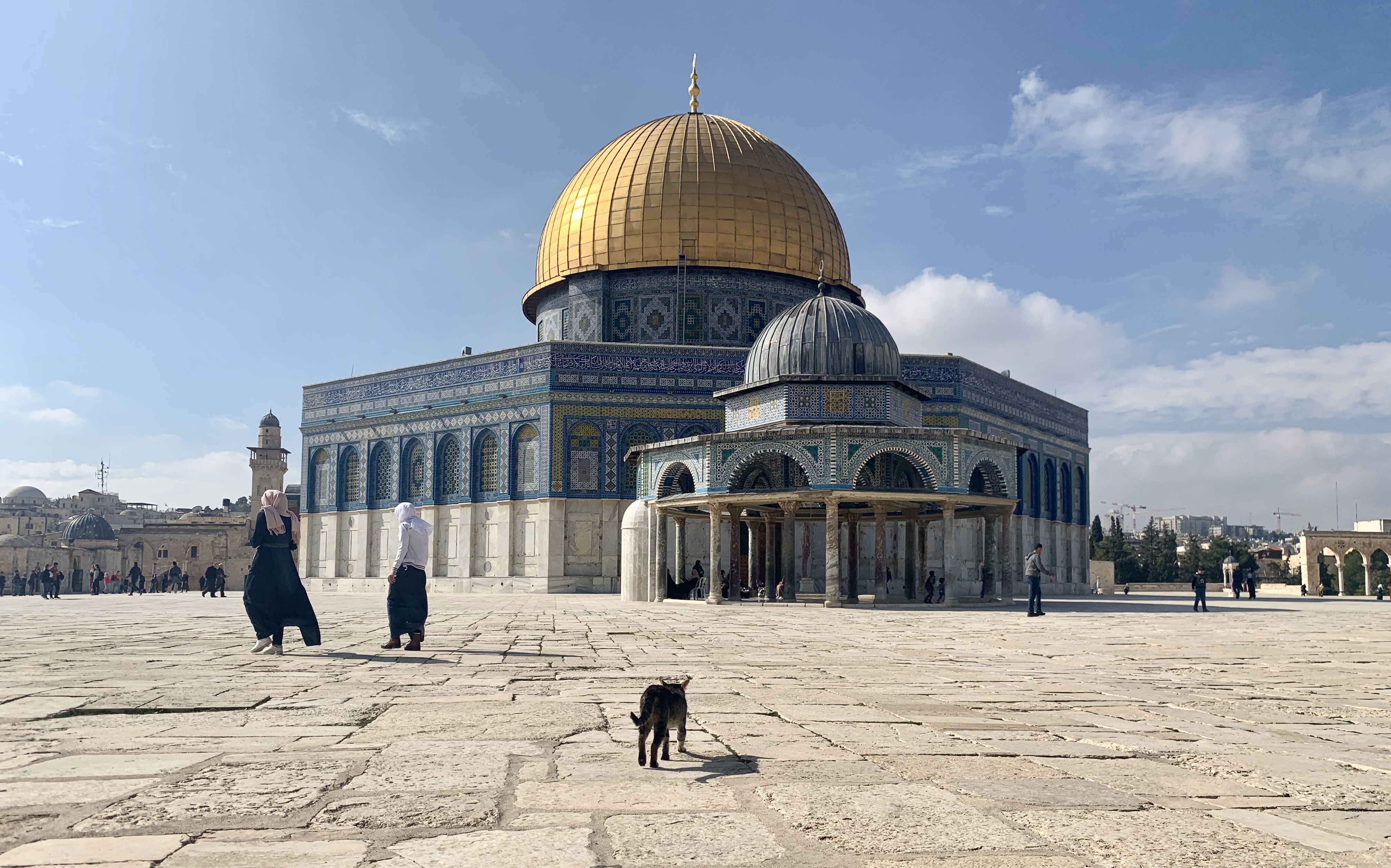 9F7C4650-9AB9-4089-A906-EAA10D0C43C4